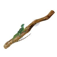 Snake Climbing Branch Unique Snake Climbing Decor Natural Non-slip Habitat Decorations Reptile Decor for Bearded Dragon Snake