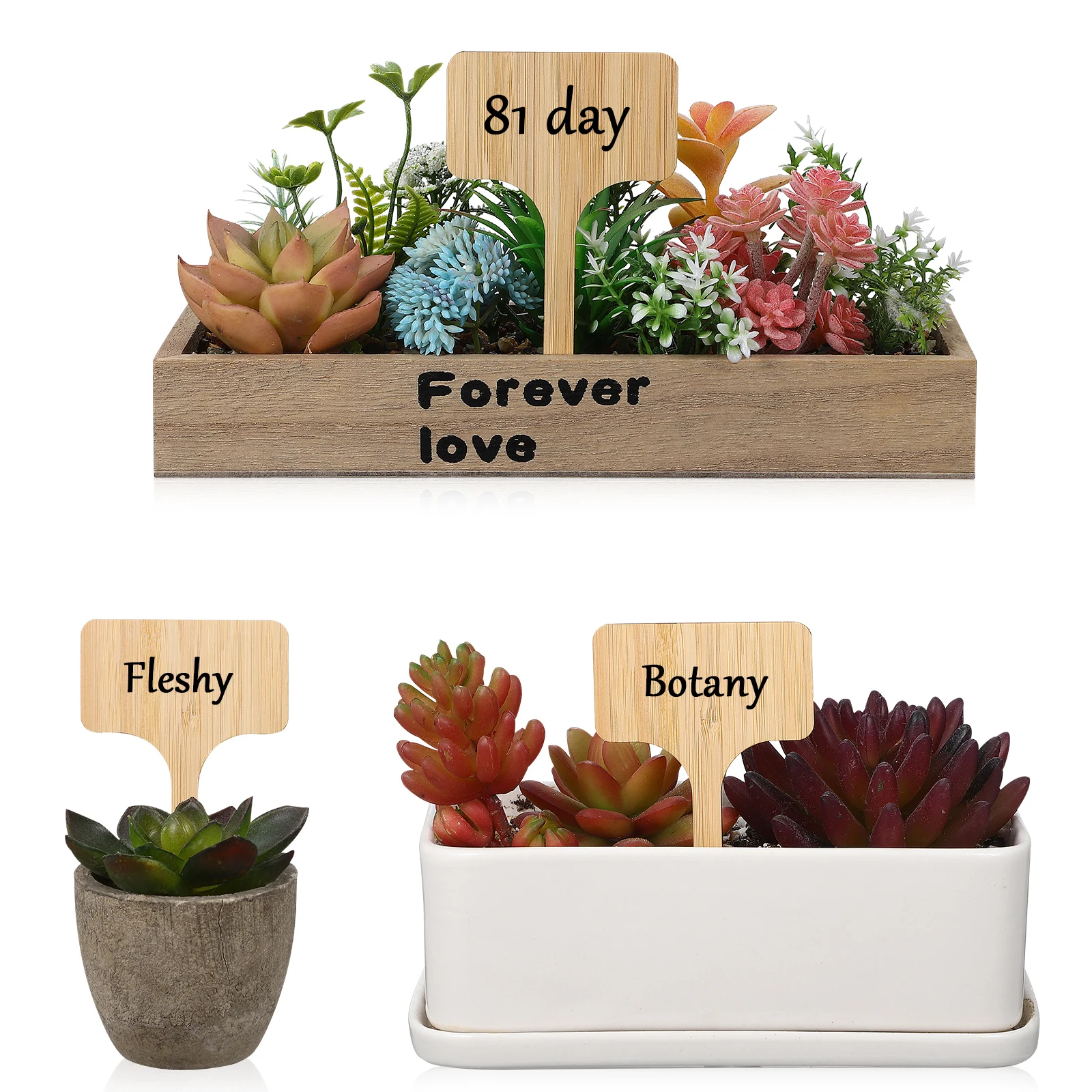 

25 Pcs Plant Labels Wooden Double Sided T Shaped Garden Markers Indoor Outdoor Seedling Tags Smooth Surface Gardening