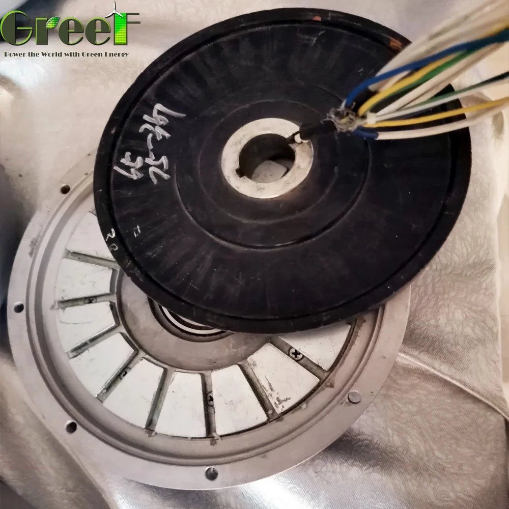 Generatore di motori a magneti permanenti con flusso assiale sincrono CA da 500 W