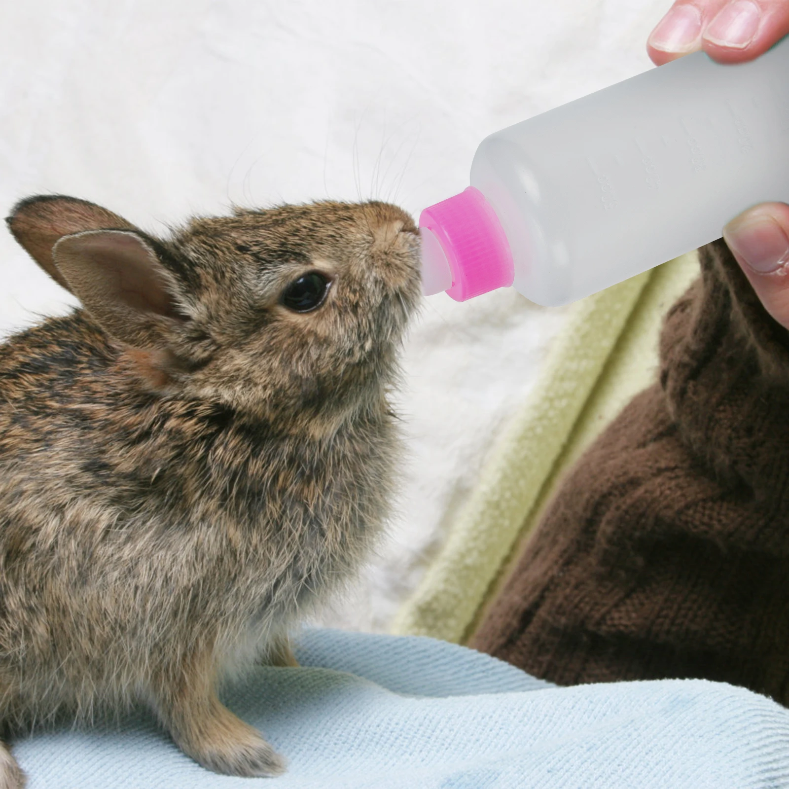 

3 Pcs Milk Bottle Cat Feeding Lamb Supplies Pet Water Feeder Dog Puppy Pink Newborn Feeders