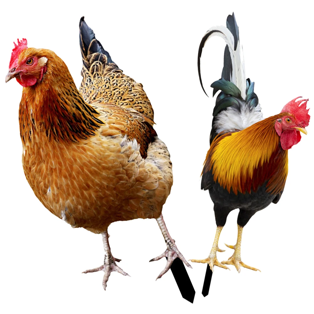 

2Pcs Acrylic Garden Chicken Stake Double Sided Decorative Yard Chick Stake Insert Lawn Ornament Yard Chicken