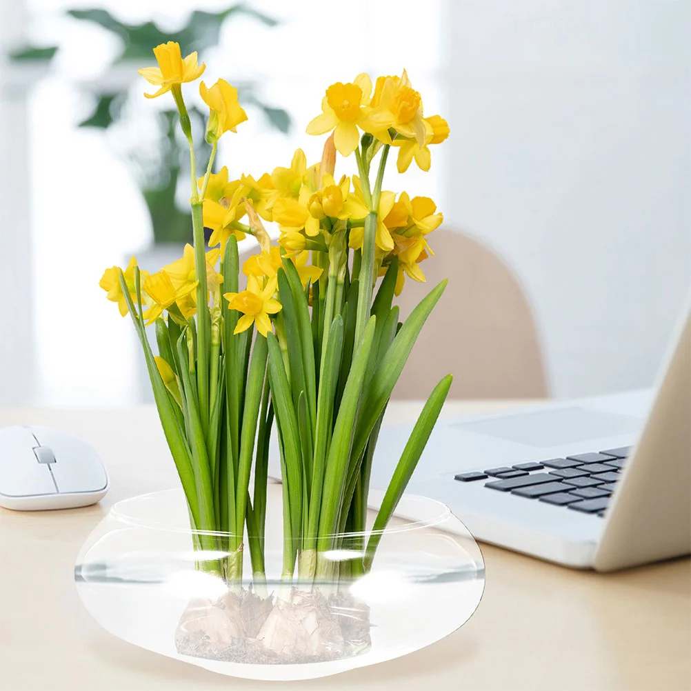 Plant Hydroponic Flower Pot Pots for Plants Small Fish Tank Transparent Glass Air Terrarium