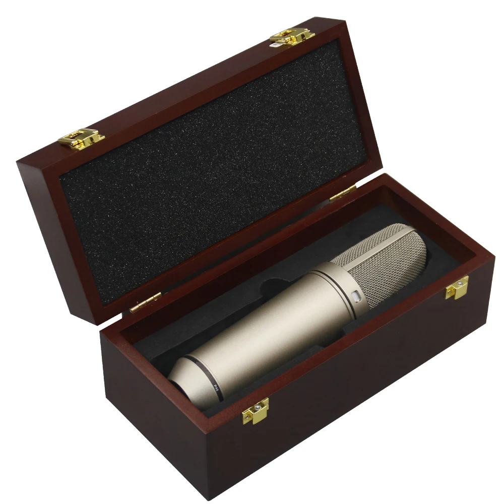 87 Ai Large Diaphragm Condenser Mic Including Shock Mount And Connection Ideal For Home Studio Recording