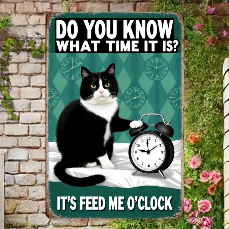 Funny Cat 