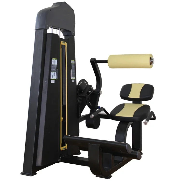 

Back Extension Machine YG Fitness YG-1023 Commercial Cheap Price Back Extension For Gym Club