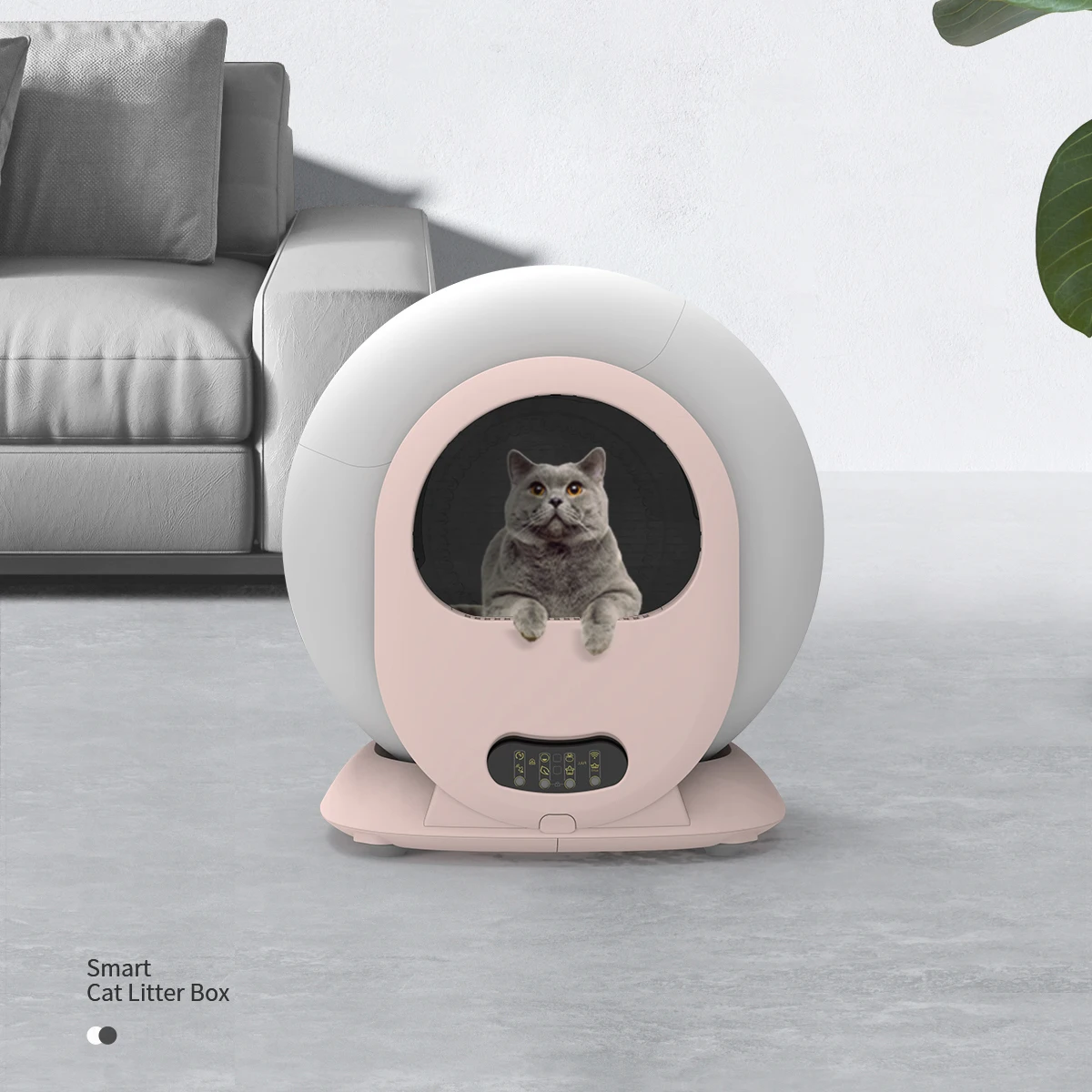 Imagem -06 - Auto Limpeza Cat Litter Box Anti-pinch Design Odor-remoção Automatic Pet Litter Box Smart App Controller