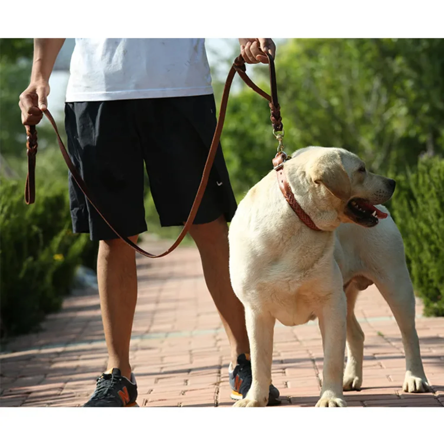 Medium Large Genuine Leather Dog Leash in Brown and Black Colors - Braided, Durable, Strong - Perfect for Pet Walking and Traini