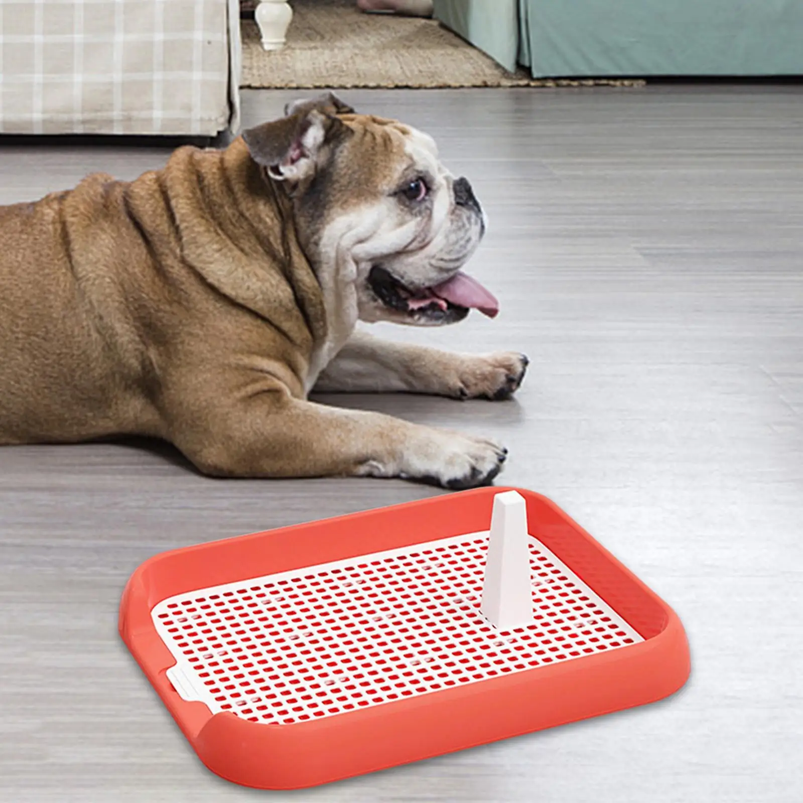 Dog Potty Toilet, Pet Dog Training Toilet, Dog Potty Pad Holder for Small And