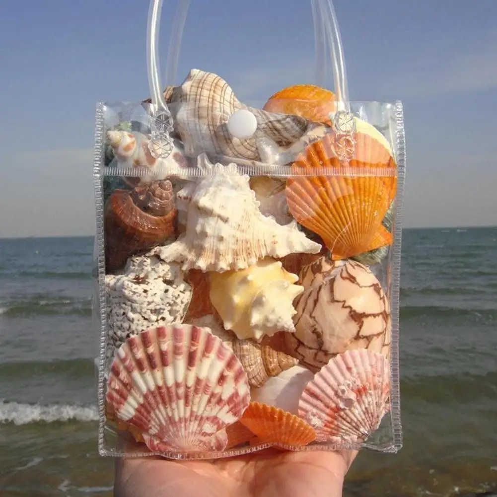 Dye-free Natural Shells Assorted Natural Seashells Starfish Set for Diy Crafts Beach Theme Party Home Decor Mixed Ocean for Fish