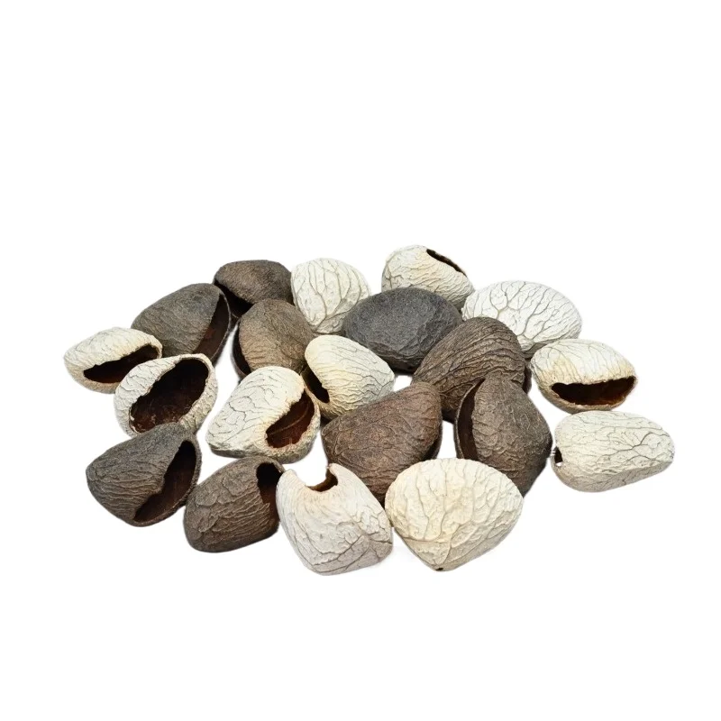 10-pecas-conjunto-de-conchas-de-fruta-preta-indonesias-para-material-de-sino-de-vento-chocalho-material-diy-acessorios-para-saco-de-material-e-acessorios-decorativos