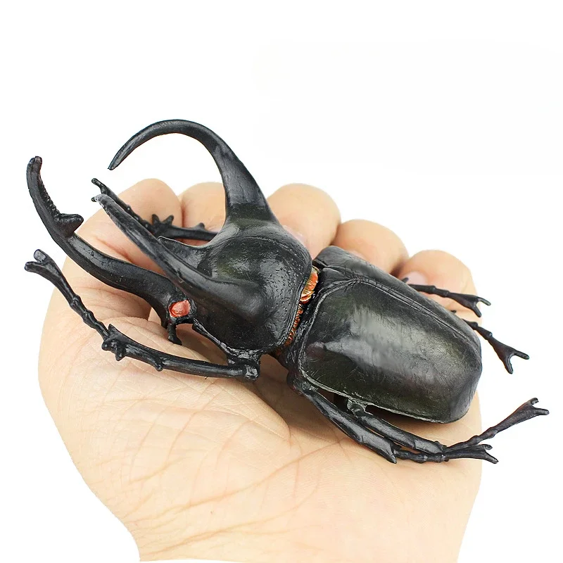 Wild Insect Animals Model Unicorn Beetle Action Figures Figurine Miniature Education Collection Kid