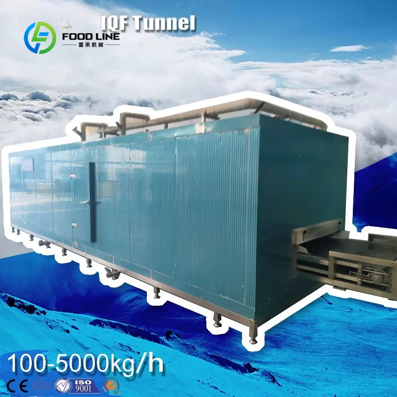 Customized 100kg/h Commercial Stainless Industrial IQF Tunnel Freezer Quick Freezing Machine/Blast Freezer for Shrimp/Meat