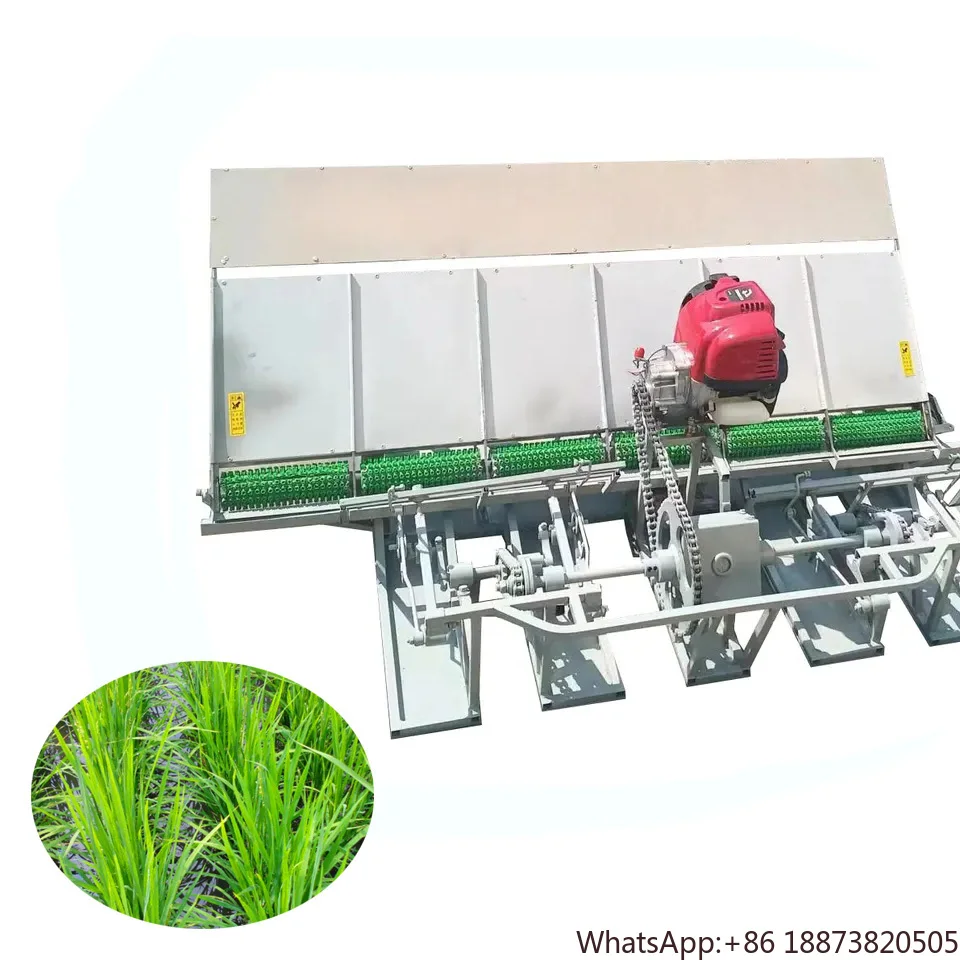 

2024 New Model Row Walking Behind Rice Transplanter addy Rice Transplanter Paddy Planter