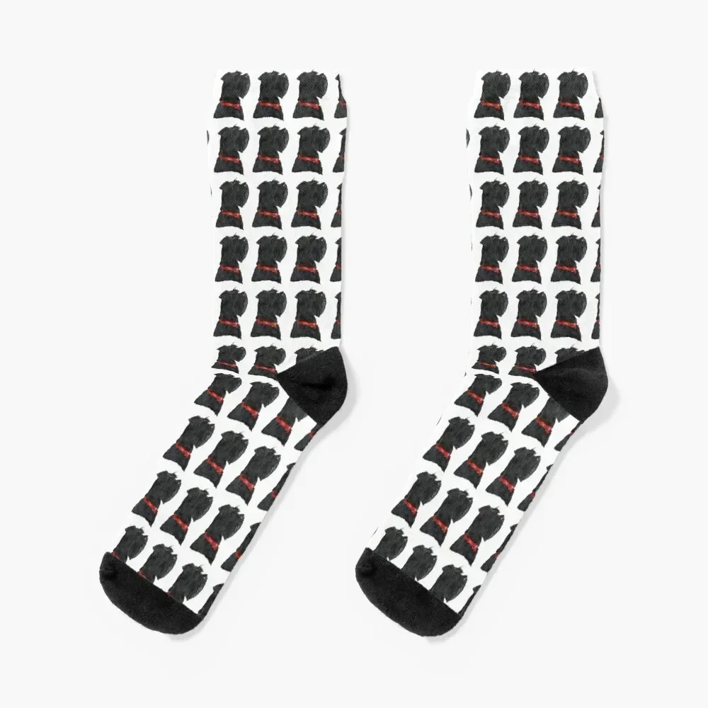 

Miniature Black Schnauzer Head Shot Socks cute football Stockings Male Socks Women's