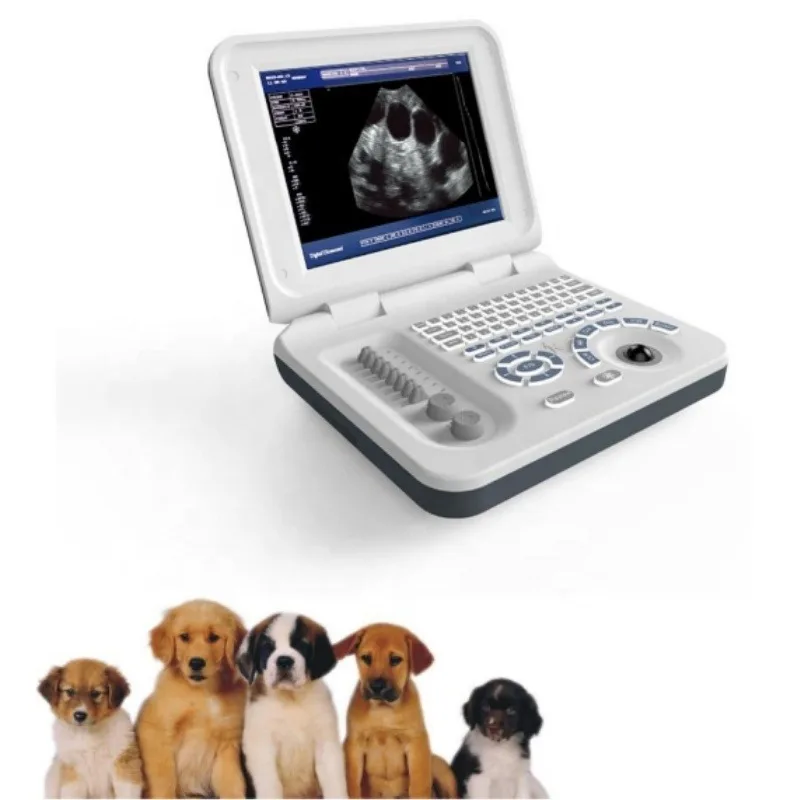 Portable Vet Ultrasound Scanner Ultrasound Machine for Veterinary Use Animal Care and Supplies