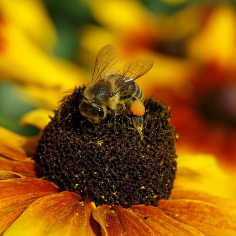 

Metal Rear Hub Carrier IFW608B for Kyosho MP10 1/8 RC Car Upgrade Parts Accessories