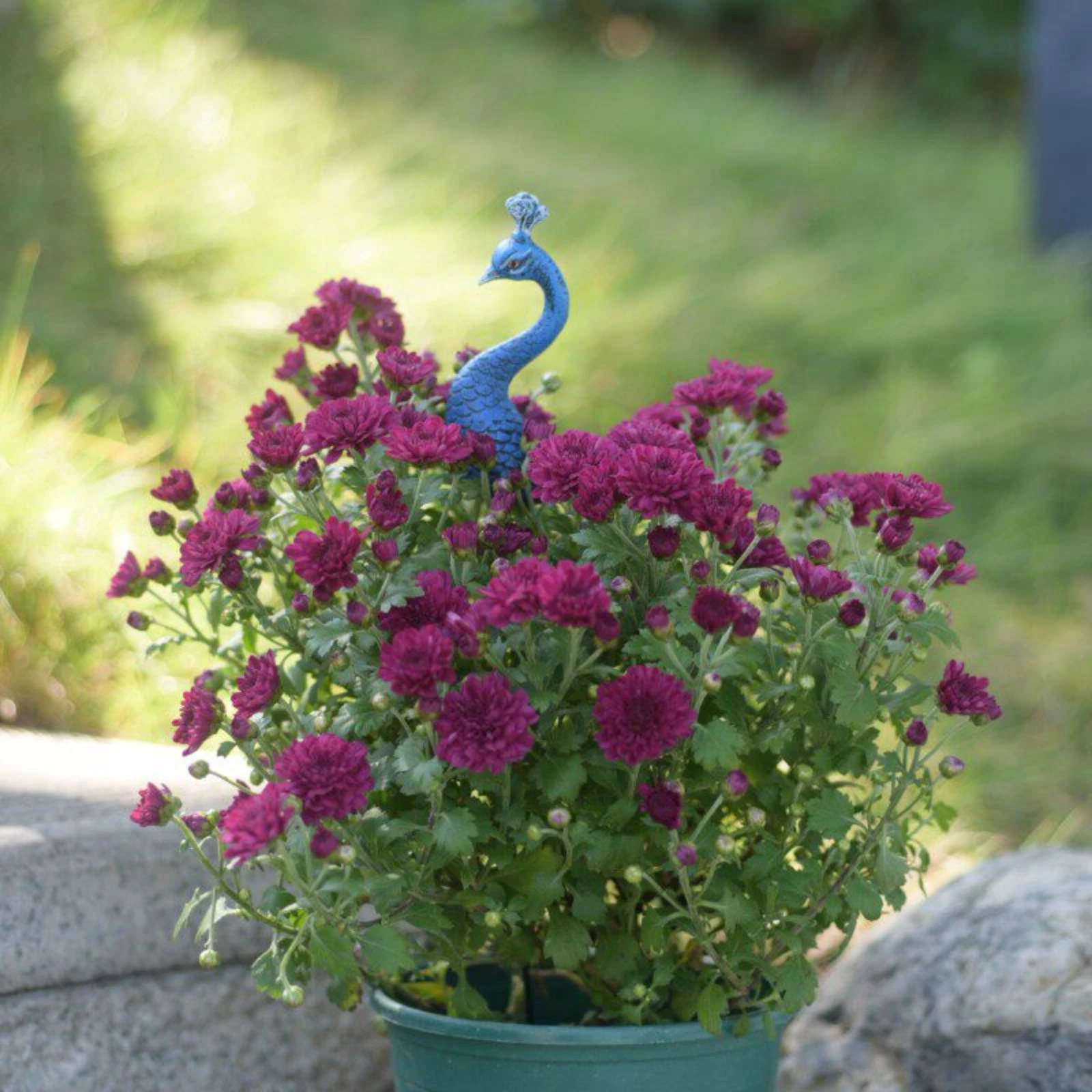 Peacock Garden Stake Resin Peacock Ornament Bird Stake Decoration Potted Plant Display Decorative Insert Colorful for Courtyard