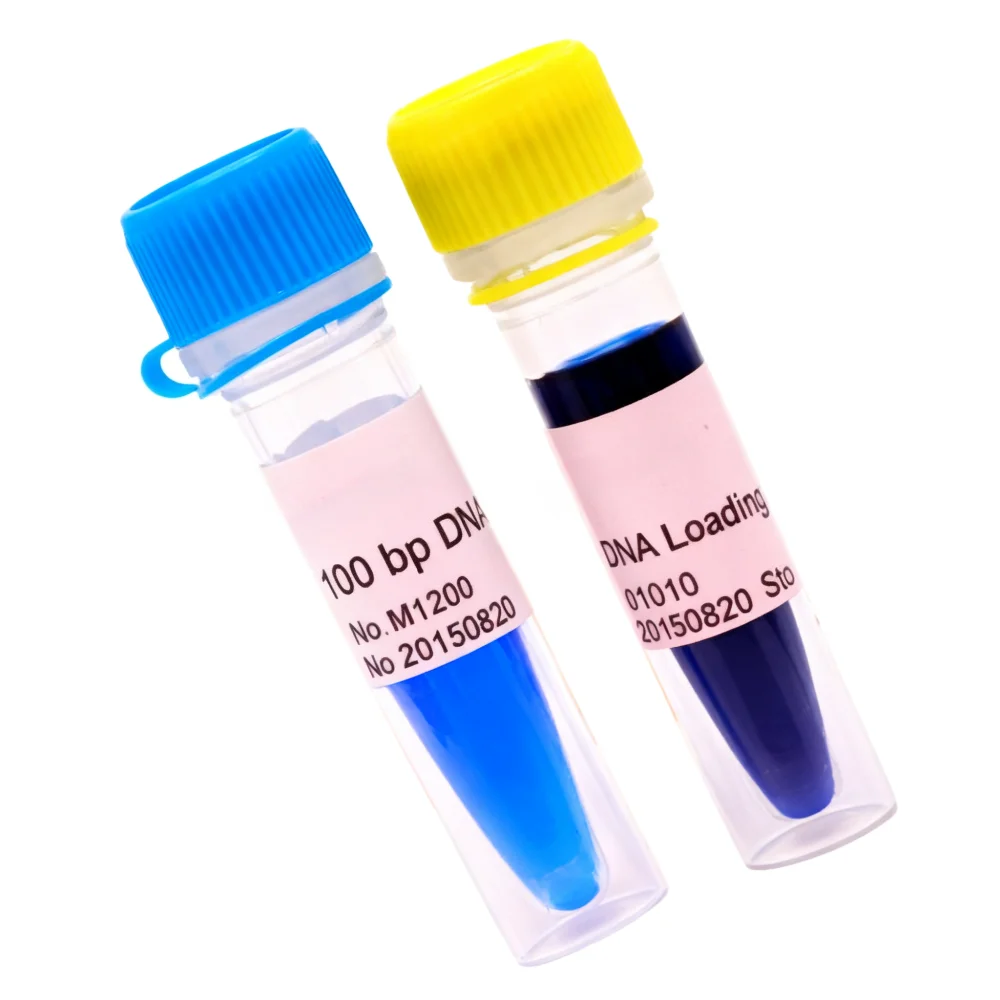 100bp Dna Ladder Laboratory Reagent For Molecular Biology Research Original Product