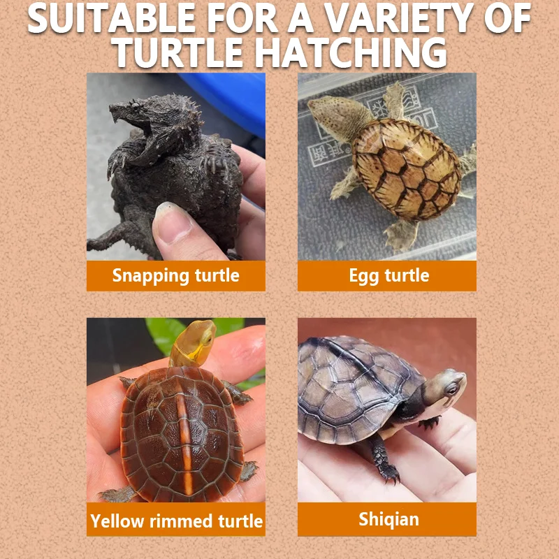 1Pc Reptile Breeding Feeding Box for Lizard Spider Turtle Containers Habitat Cage Transparent Plastic Insect Rearing Hatching