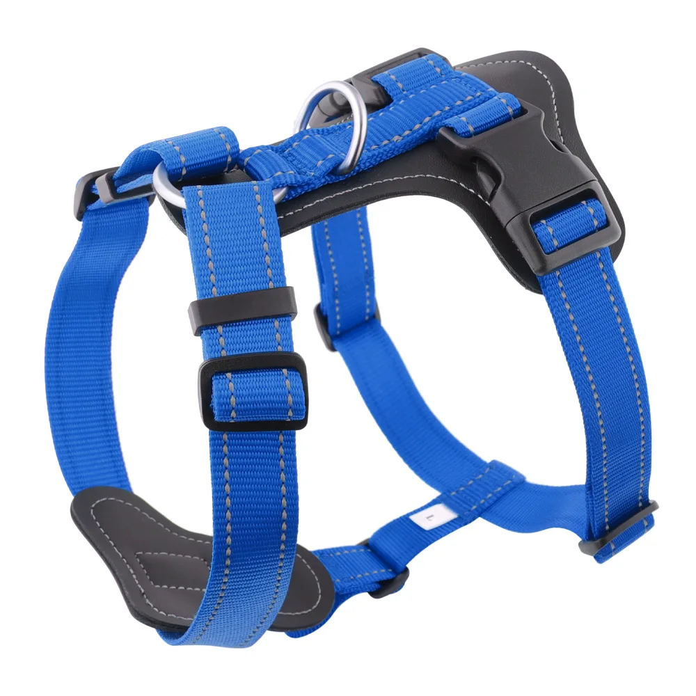 Harnais gilet en cuir - Bleu 6