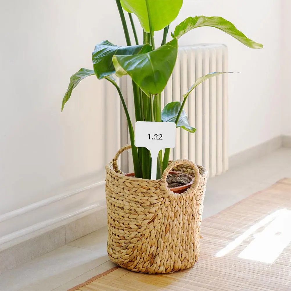 

30 Pcs DIY Labels Plant Tags Markers Plastic Flower Identify Boards White Garden Nursery Decorations Simple Plant Labels