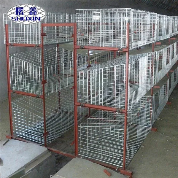 3-Layer broiler cage system