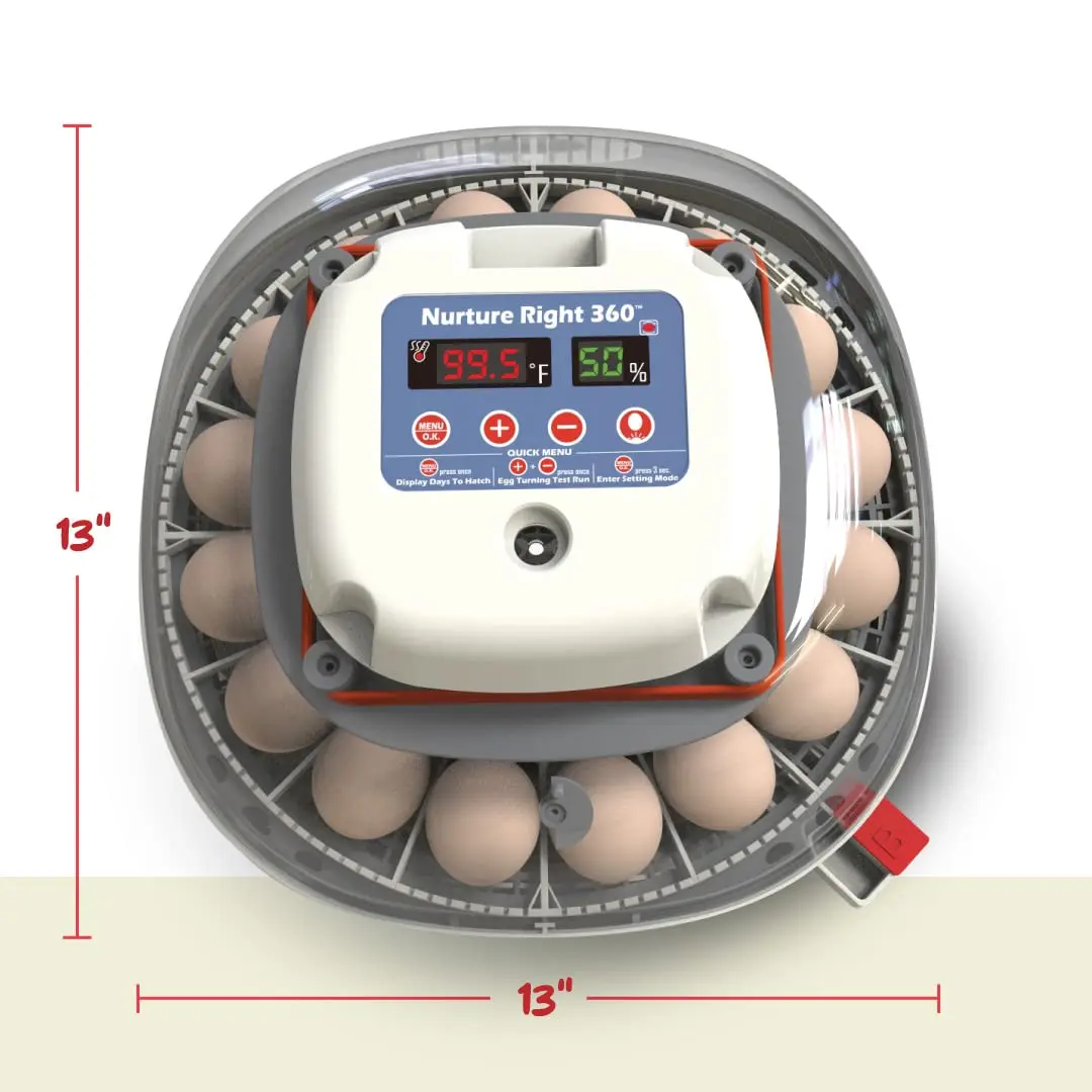 22 eggs temperature humidity control 360 degree view clear window egg incubators