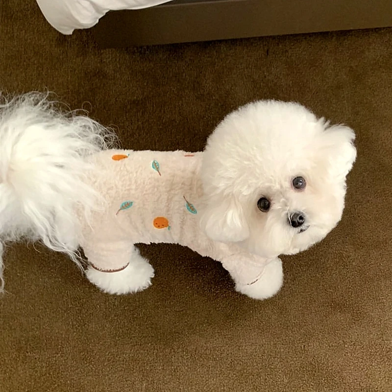 

Pet Autumn and Winter Four Legged Clothes Teddy Warm Clothes Lemon pattern Pullover Puppy Cute Pajamas Pet Supplies