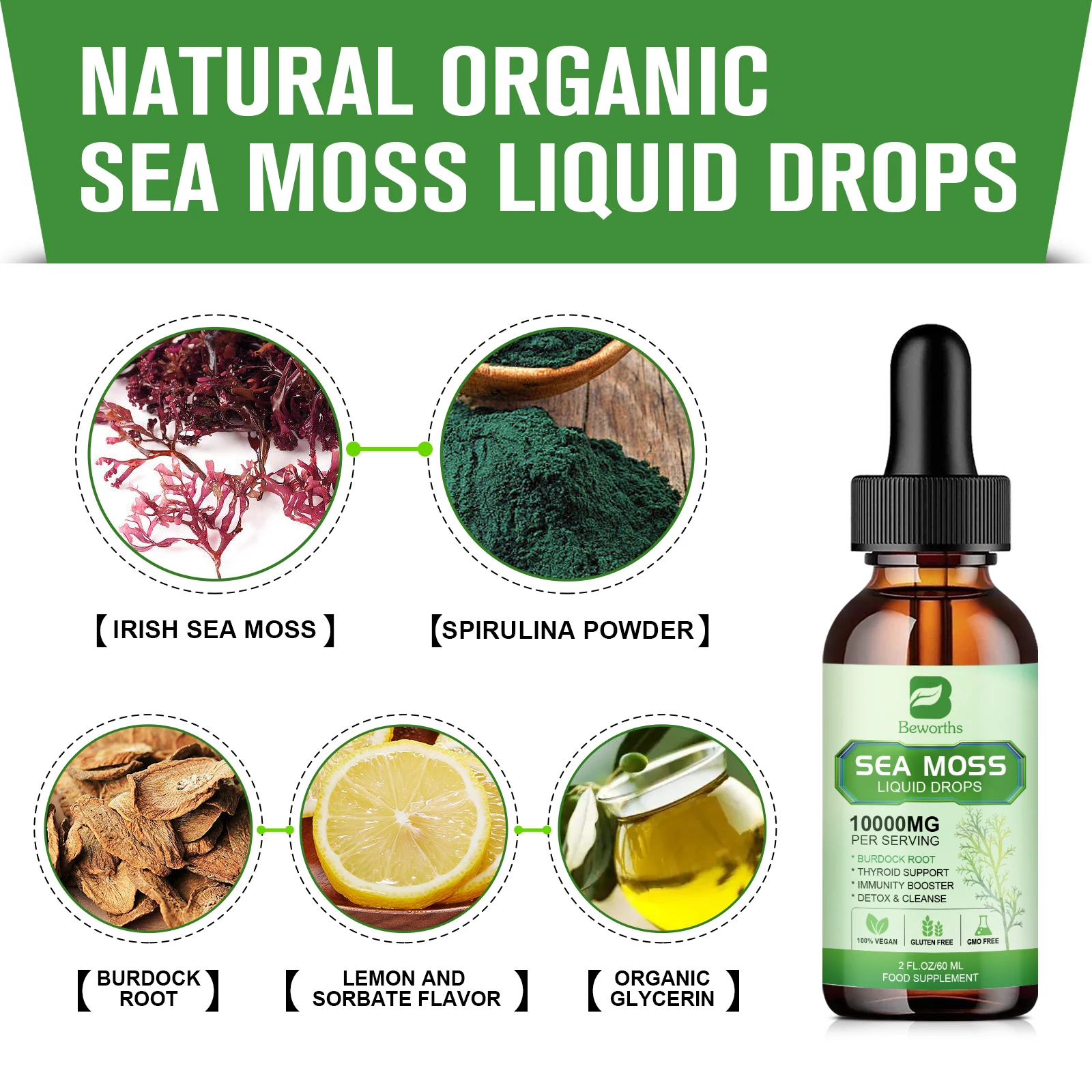 BEWORTHS Sea Moss Capsules with Burdock Root, Bladderwrack for Thyroid Joint Health Support Immunity, Gut & Energy Health