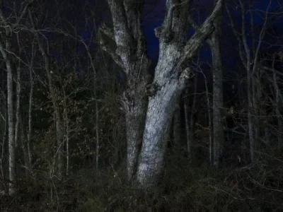 

Металлическая шестерня 45T и комплект центрального приводного вала 10755 10756 для радиоуправляемых машин TRXS Mini Maxx: запчасти и аксессуары для тюнинга