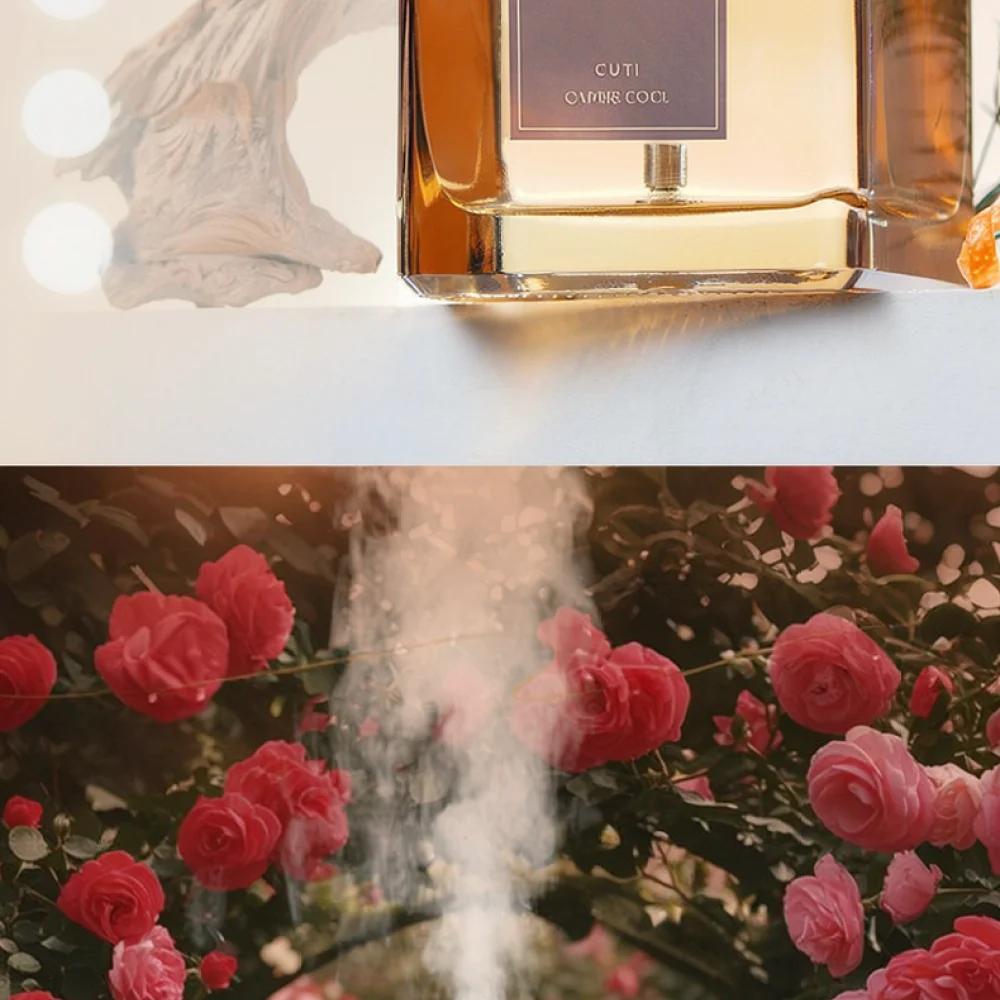Electric Aromatherapy Machine Automatic Essential Oil Sprayer Air Purifier Device Portable Fragrance Diffuser For Indoor Space image 5