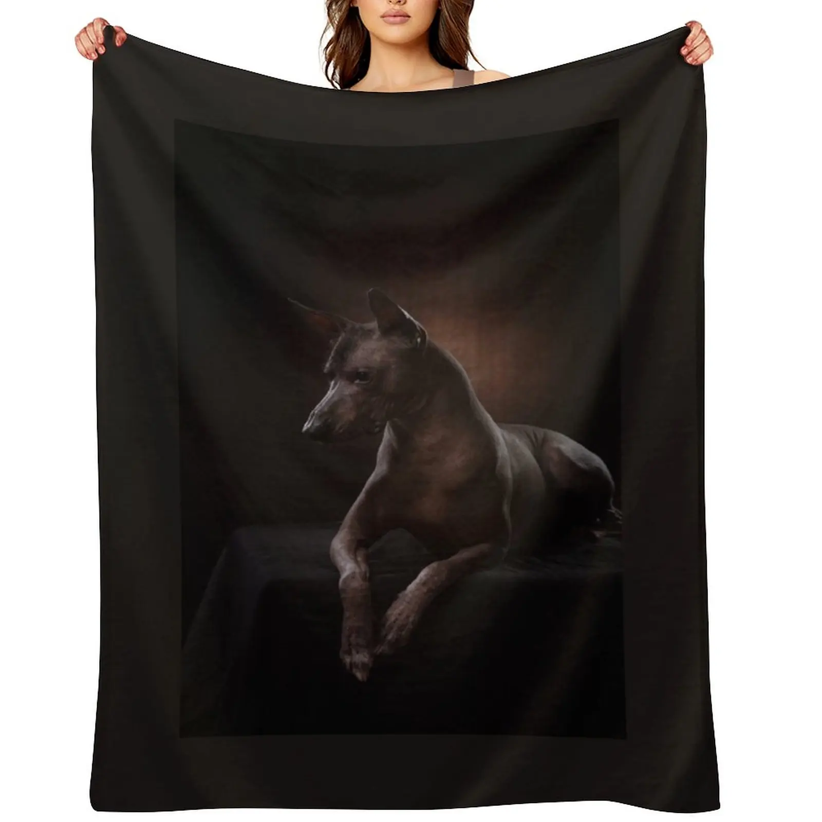 

Xoloitzcuintle Throw Blanket Travel Bed Fashionable warm winter Comforter Blankets