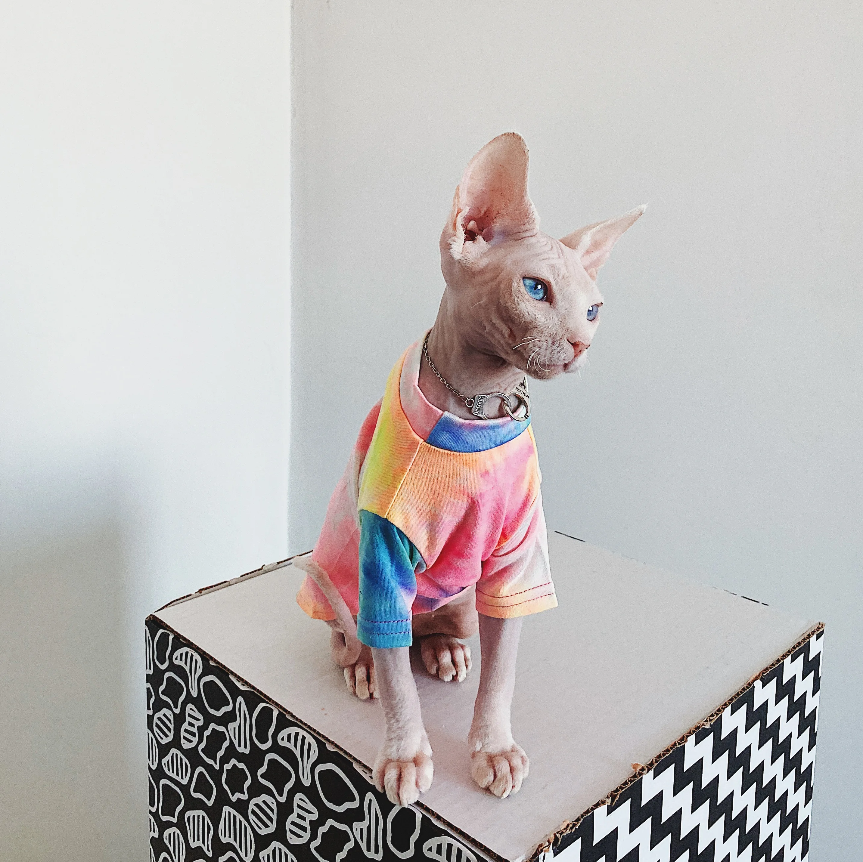 Apparels for Sphynx Cat Rainbow Rendering Cotton Undershirt for Devon Long sleeves Coat Kittens Summer Autumn Sphynx Supplier