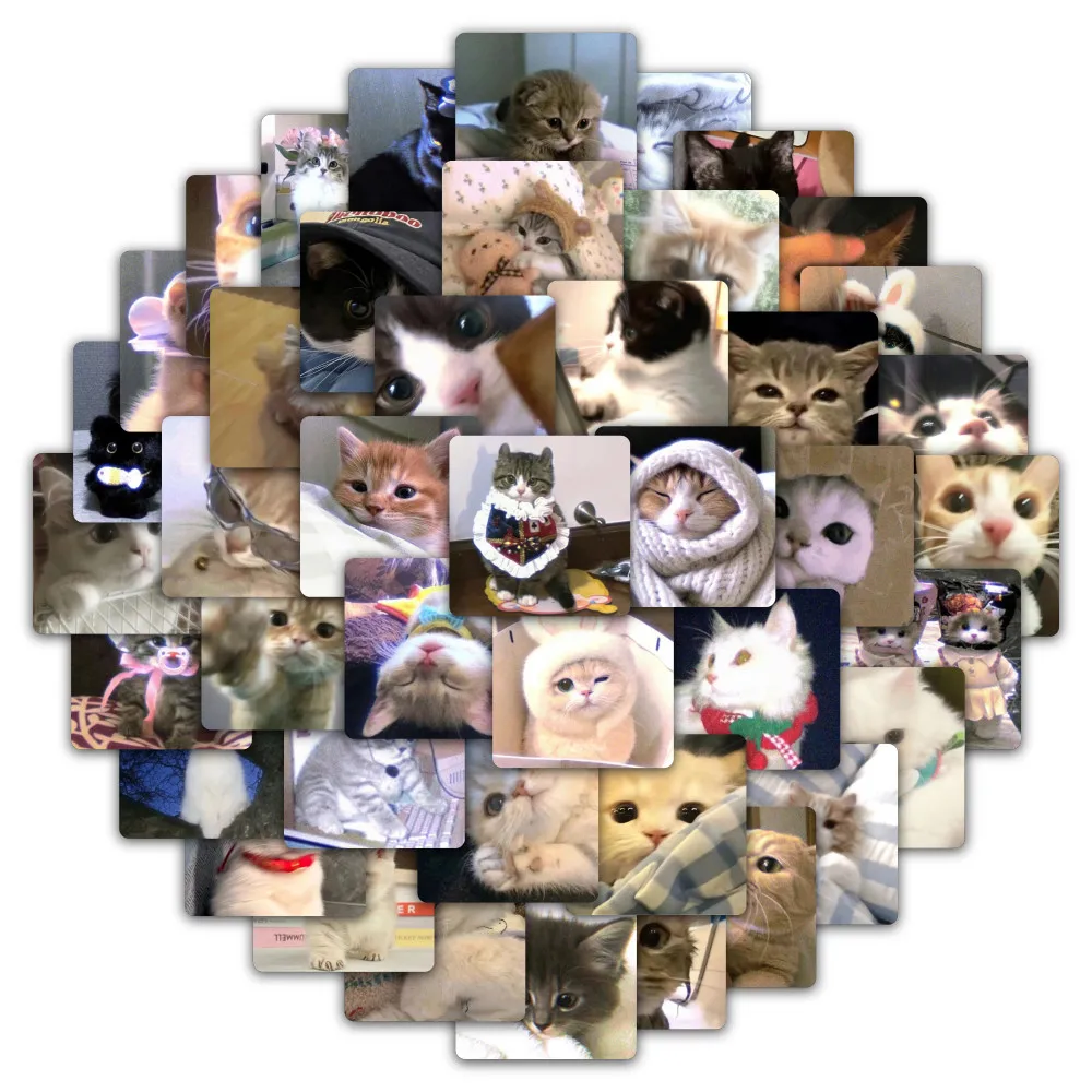 59 ملصقًا للقطط الغاضبة - شارات قطط لطيفة للديكور والحرف اليدوية لتسجيل متجر YourLife #2