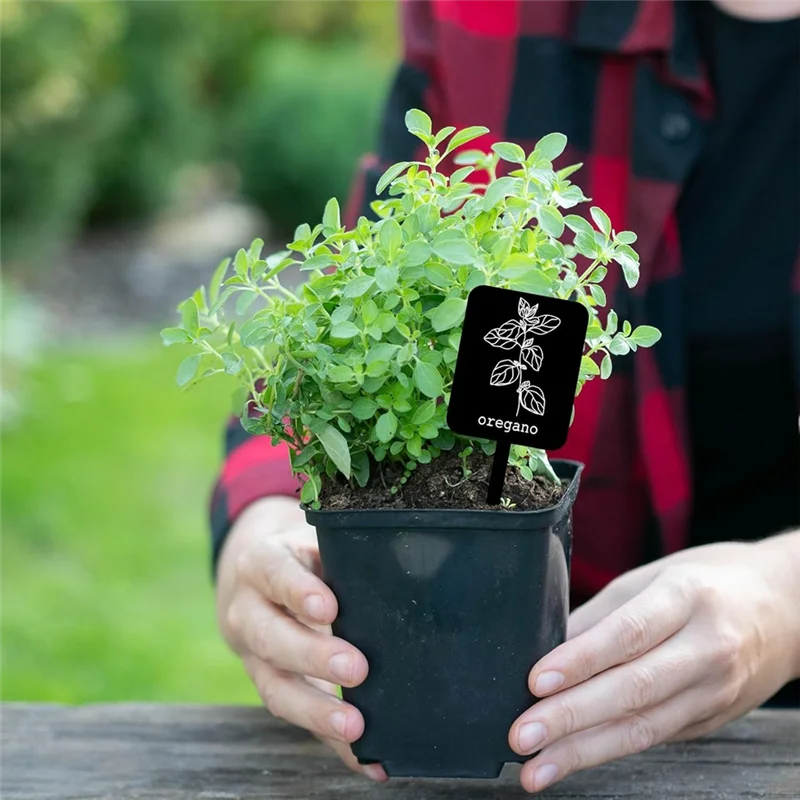 

【Limited-Stock!】24Pcs Black Waterproof Plant Labels Signs 12 Styles Garden Markers Acrylic Stakes Tags With Names