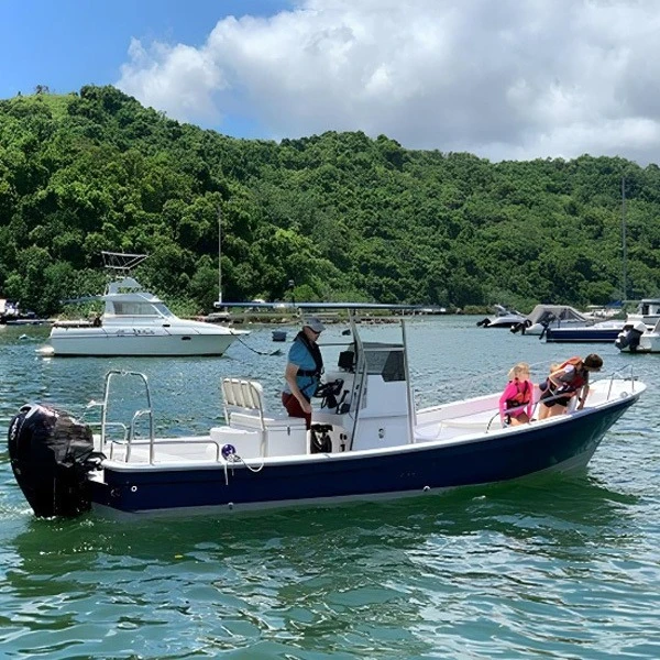 Barco de pesca Wasen Panga con casco doble de fibra de vidrio de 17 pies a 25 pies a la venta