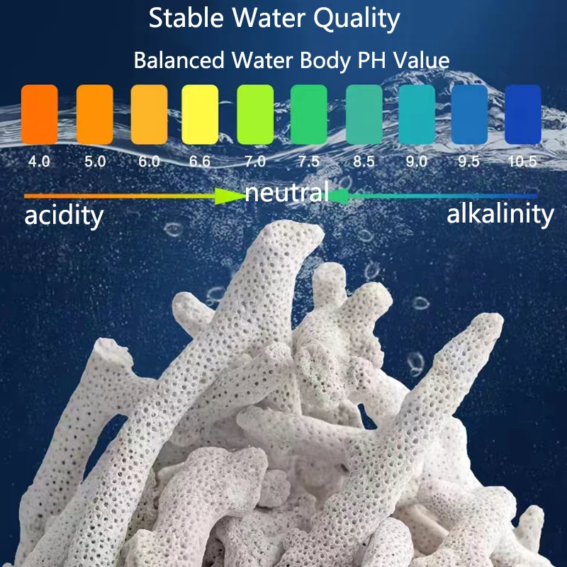 Hoge Kwaliteit Natuurlijk Rif Koraalbot Aquarium Filter Medium Biologisch Materiaal Koraalzand Voor Ph Gestage Vis Tank Filtratie