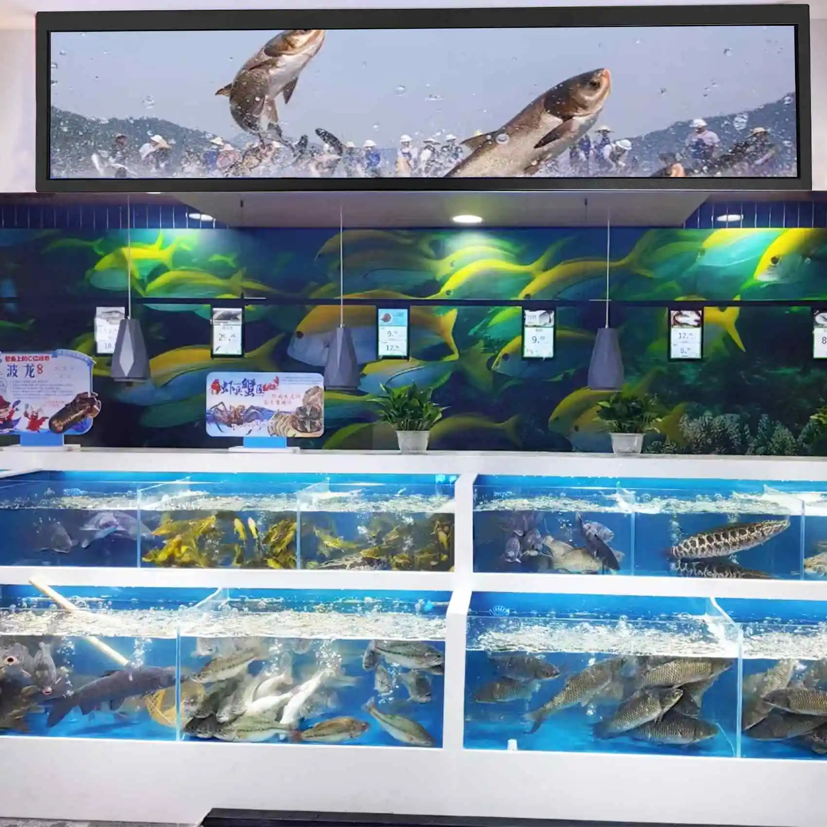 2048x1536 القرار الخلفية WLED LP097QX1 51pins eDP موصل