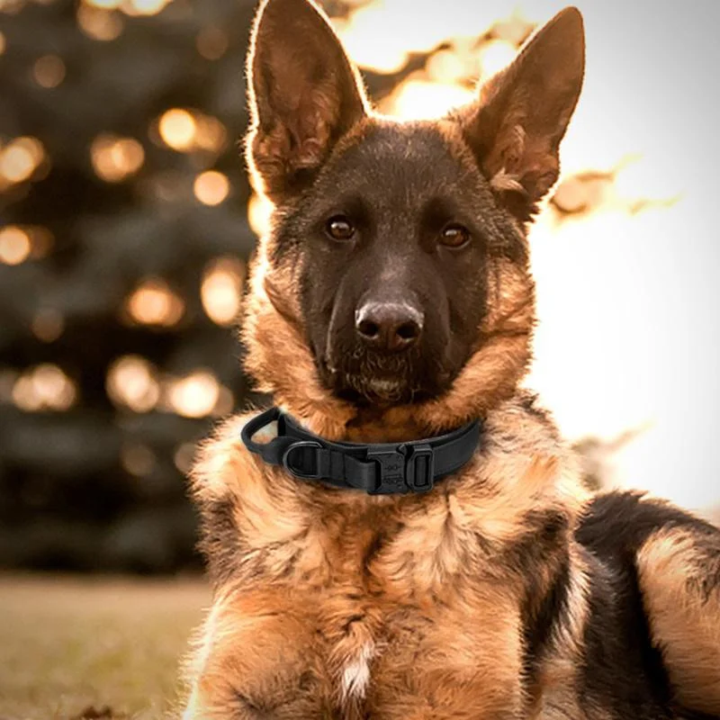 Halsband Duurzame tactische riemset Verstelbare militaire halsband voor huisdieren Middelgrote grote hond Duitse herder Trainingsaccessoires