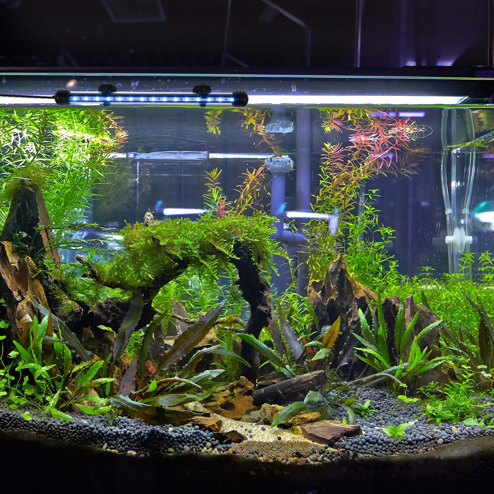Luce per acquario a LED Lampada per acquario in acrilico durevole Dispositivo di illuminazione impermeabile sommergibile Luce a LED per acquario facile da installare