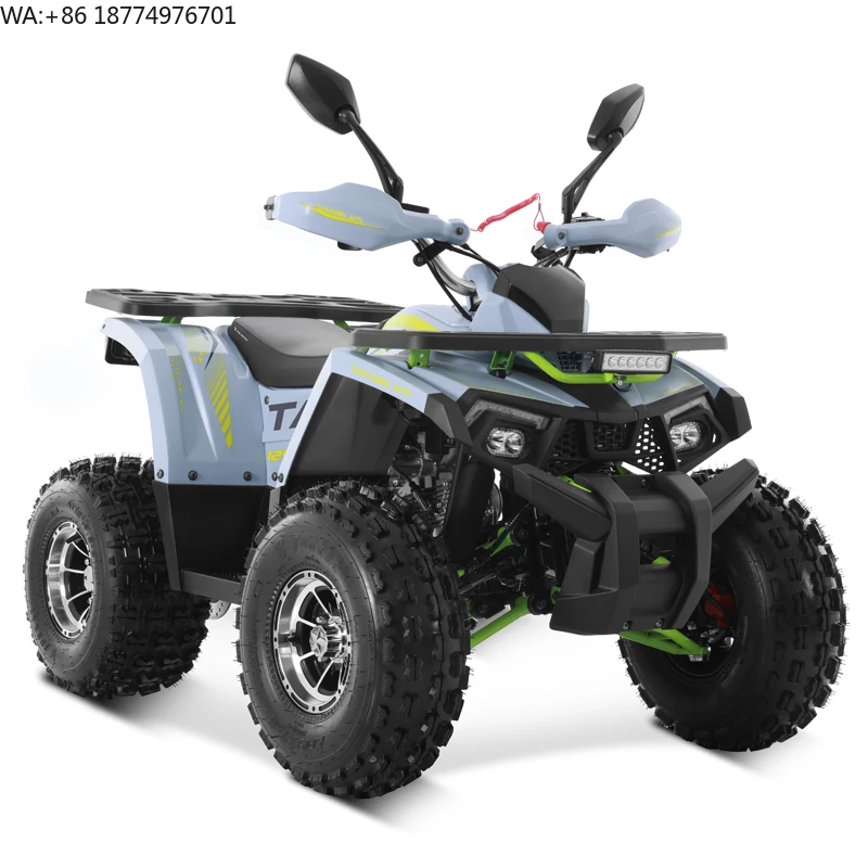 Tao Motor 2025 New Alloy Rim Chain Drive Automatic with Reverse 125cc ATV Chinese Cheap Farm ATV 125