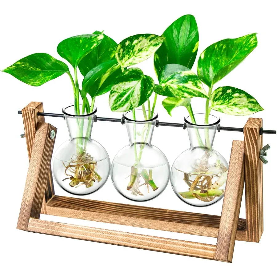 Ivolador Plant Propagation StationBulb Plant Terrarium with Wooden Stand Unique Gardening Gifts for Women Plant Lovers Hydropon