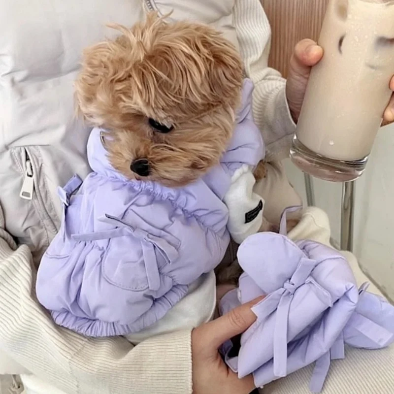 Thumbnail 2 - #40 Best Pet Apparels to Buy In 2026