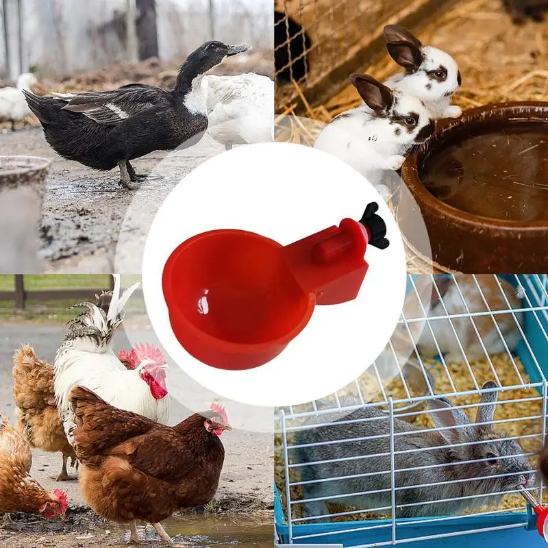 Tazza per bere pollo abbeveratoio automatico mangiatoia per pollo abbeveratoio per pollame in plastica mangiatoia per acqua potabile per pulcini anatra GooseQuail