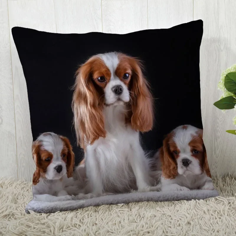 Customize King Charles Spaniel Pillow Case Modern Home Decorative Pillowcase For Living Room 45X45cm A2020.4.29