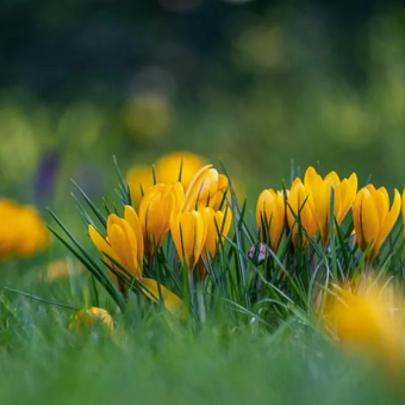 

1pcs Metal 25T Servo Arm Steering Horn For 1/10 Rc Crawler Car