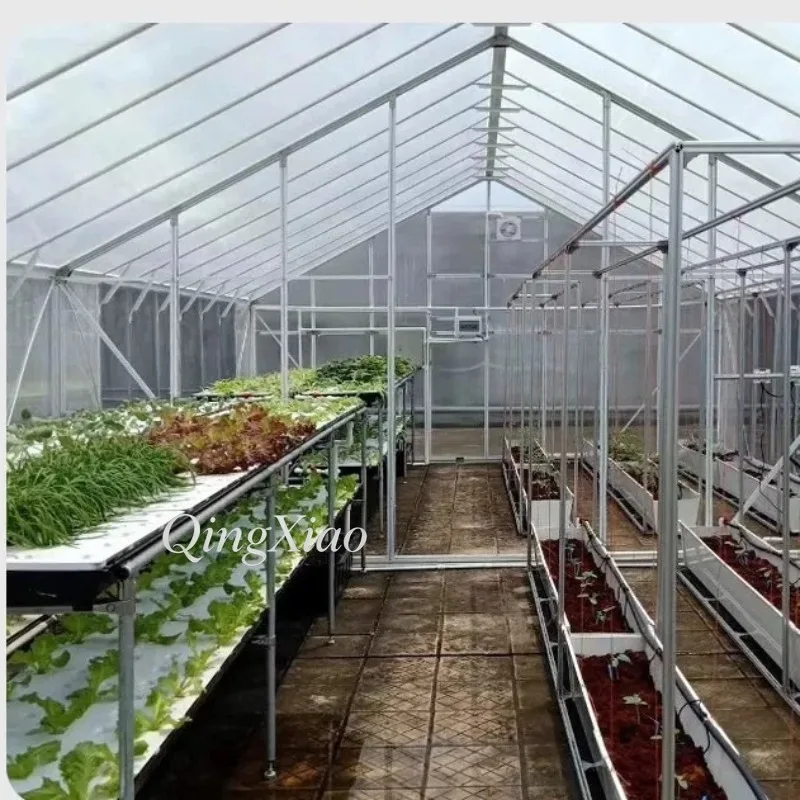 Aluminum Frame Greenhouse Crop Shelter Home Garden Enclosure For Vegetable Flower Cultivation Rainproof Growing Protection