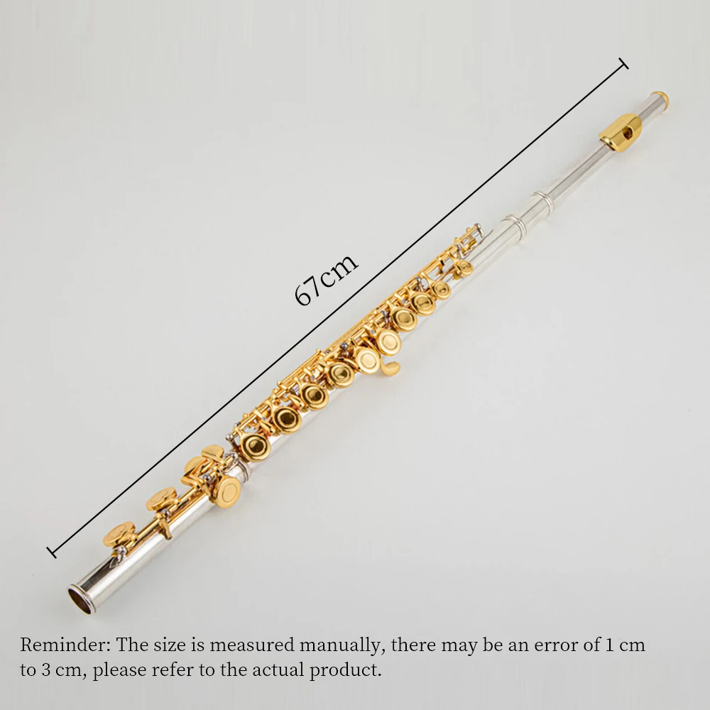 High quality Closed 16 Hole C Key Silver Plated Flute with Case Suitable Woodwind Instrument for Beginners and Professionals