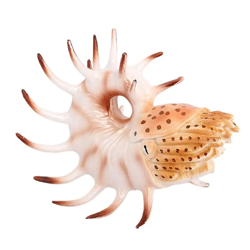 Marine Animal Toys Realistic Nautilus Models for Children Decorative Learning Toy for Boys Girls Marine Animal Decor for Holiday