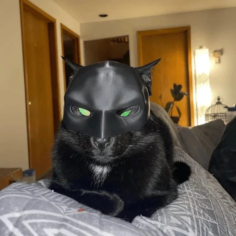 Halloween Cat Mask